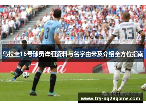 乌拉圭16号球员详细资料与名字由来及介绍全方位指南 乌拉圭16号球员详细资料与名字由来及介绍全方位指南