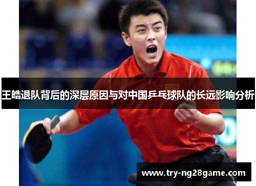 王皓退队背后的深层原因与对中国乒乓球队的长远影响分析 王皓退队背后的深层原因与对中国乒乓球队的长远影响分析