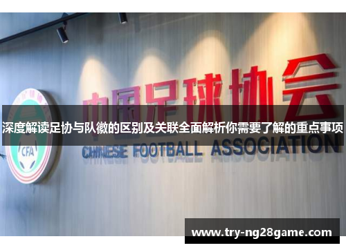 深度解读足协与队徽的区别及关联全面解析你需要了解的重点事项 深度解读足协与队徽的区别及关联全面解析你需要了解的重点事项