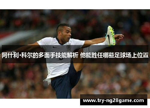 阿什利·科尔的多面手技能解析 他能胜任哪些足球场上位置
