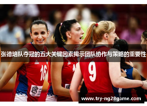 张德培队夺冠的五大关键因素揭示团队协作与策略的重要性