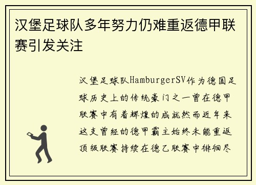 汉堡足球队多年努力仍难重返德甲联赛引发关注