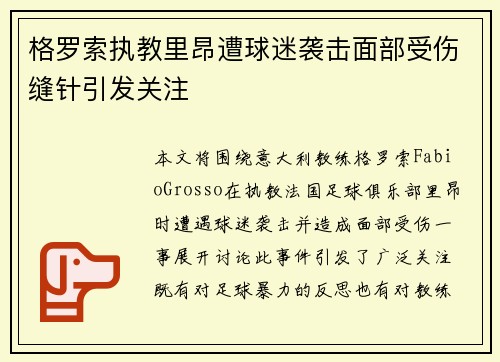 格罗索执教里昂遭球迷袭击面部受伤缝针引发关注